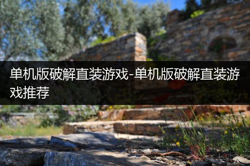单机版破解直装游戏-单机版破解直装游戏推荐