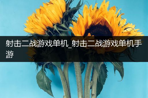 射击二战游戏单机_射击二战游戏单机手游
