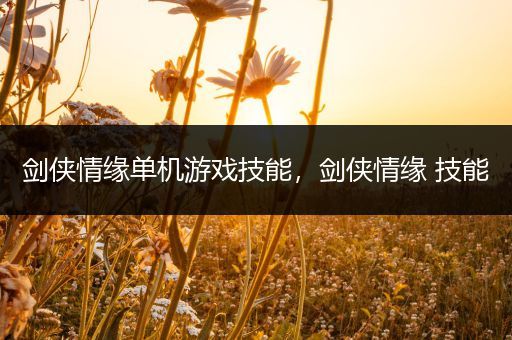 剑侠情缘单机游戏技能，剑侠情缘 技能