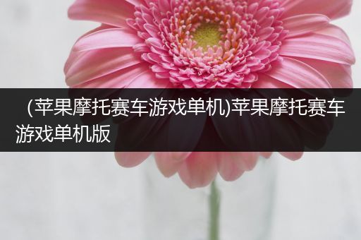 （苹果摩托赛车游戏单机)苹果摩托赛车游戏单机版