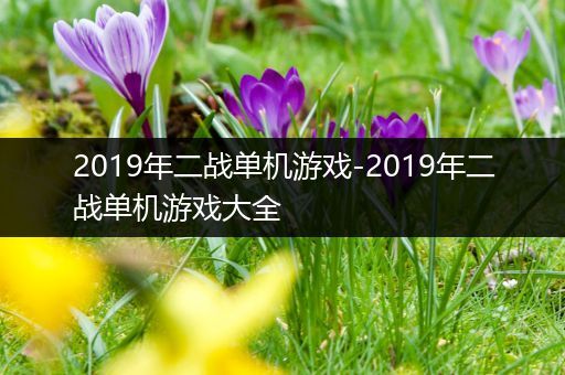 2019年二战单机游戏-2019年二战单机游戏大全
