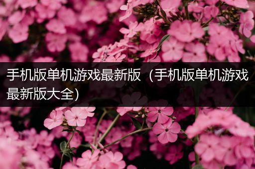手机版单机游戏最新版（手机版单机游戏最新版大全）