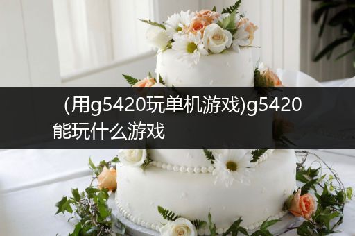 （用g5420玩单机游戏)g5420能玩什么游戏