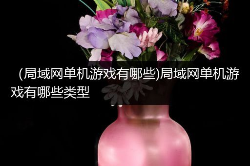 （局域网单机游戏有哪些)局域网单机游戏有哪些类型