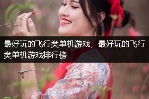最好玩的飞行类单机游戏，最好玩的飞行类单机游戏排行榜