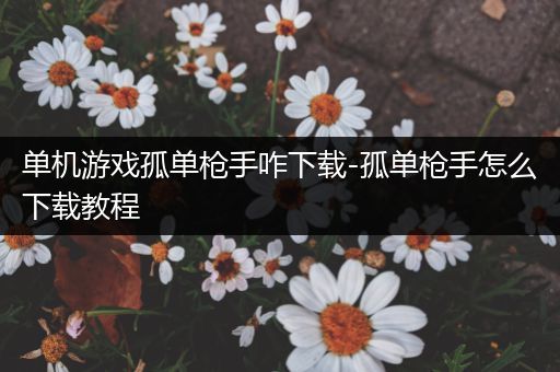 单机游戏孤单枪手咋下载-孤单枪手怎么下载教程
