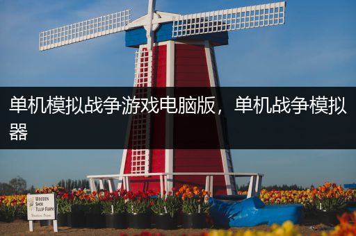 单机模拟战争游戏电脑版，单机战争模拟器
