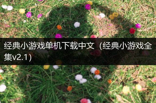 经典小游戏单机下载中文（经典小游戏全集v2.1）