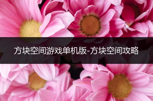 方块空间游戏单机版-方块空间攻略