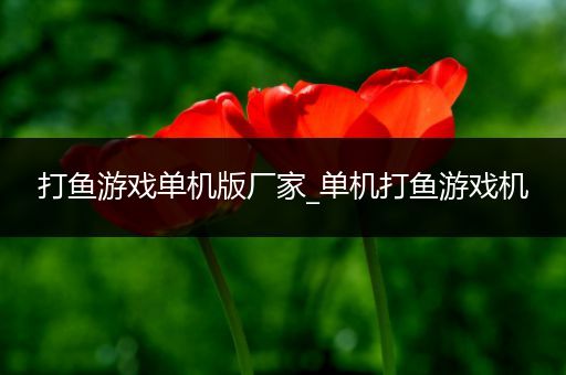 打鱼游戏单机版厂家_单机打鱼游戏机