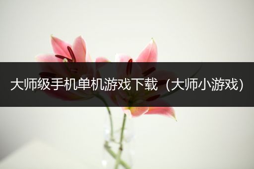 大师级手机单机游戏下载（大师小游戏）