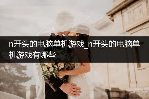 n开头的电脑单机游戏_n开头的电脑单机游戏有哪些