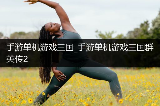 手游单机游戏三国_手游单机游戏三国群英传2