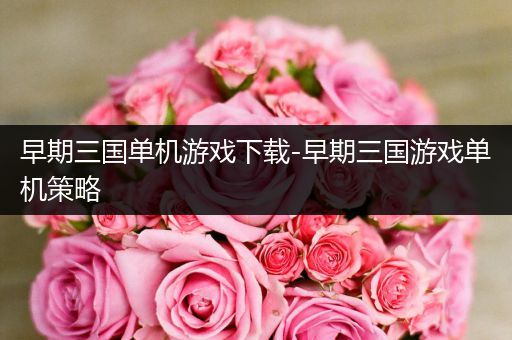 早期三国单机游戏下载-早期三国游戏单机策略
