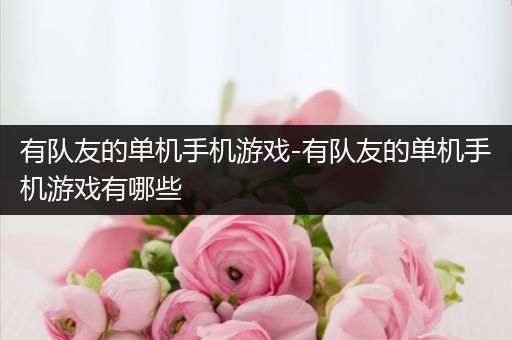 有队友的单机手机游戏-有队友的单机手机游戏有哪些