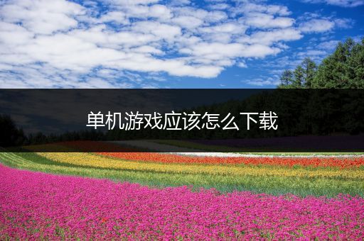 单机游戏应该怎么下载