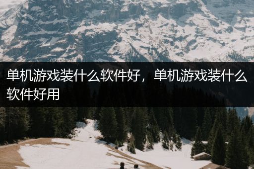 单机游戏装什么软件好，单机游戏装什么软件好用
