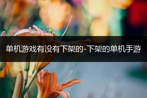 单机游戏有没有下架的-下架的单机手游