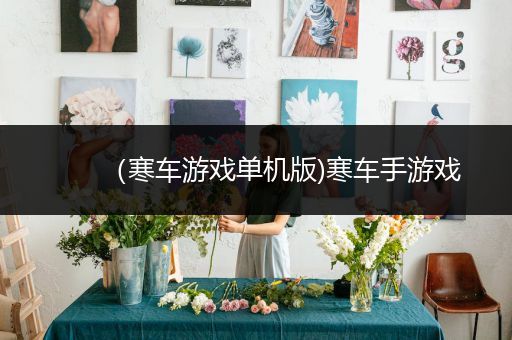 （寒车游戏单机版)寒车手游戏