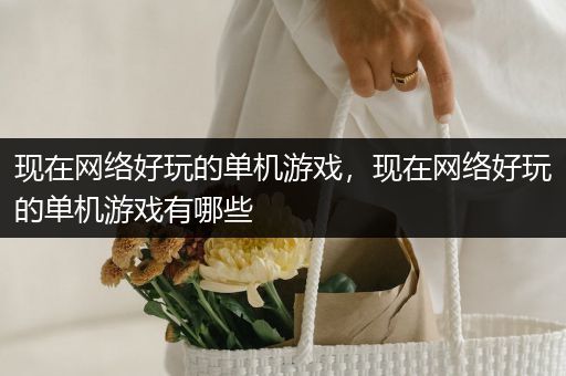 现在网络好玩的单机游戏，现在网络好玩的单机游戏有哪些