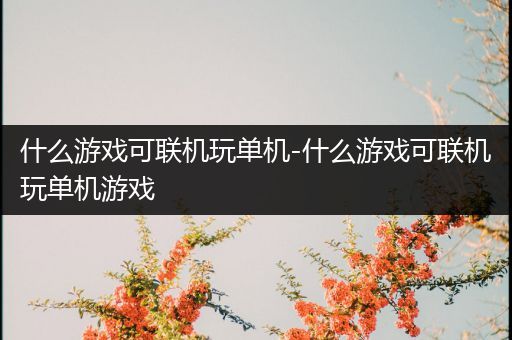 什么游戏可联机玩单机-什么游戏可联机玩单机游戏