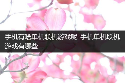 手机有啥单机联机游戏呢-手机单机联机游戏有哪些