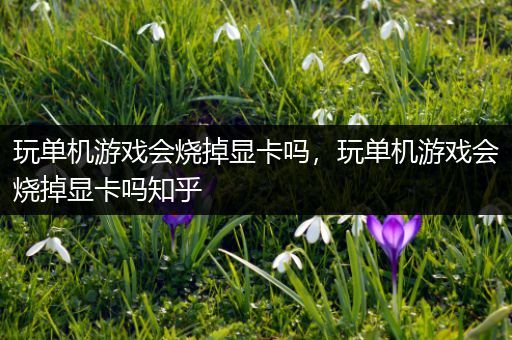 玩单机游戏会烧掉显卡吗，玩单机游戏会烧掉显卡吗知乎
