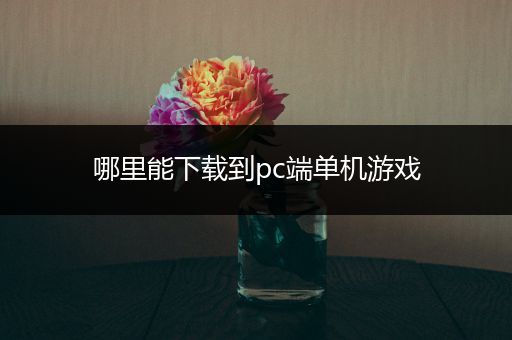 哪里能下载到pc端单机游戏