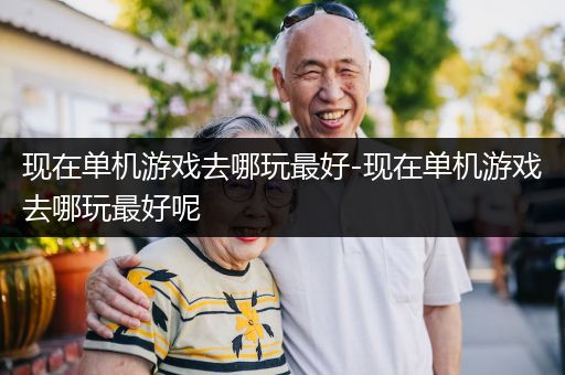 现在单机游戏去哪玩最好-现在单机游戏去哪玩最好呢