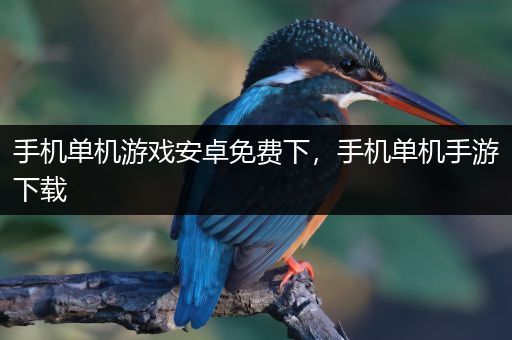 手机单机游戏安卓免费下，手机单机手游下载