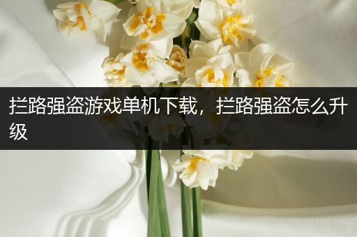 拦路强盗游戏单机下载，拦路强盗怎么升级
