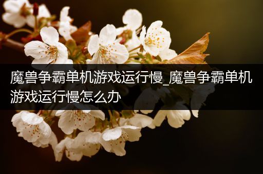 魔兽争霸单机游戏运行慢_魔兽争霸单机游戏运行慢怎么办
