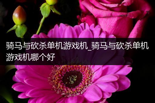 骑马与砍杀单机游戏机_骑马与砍杀单机游戏机哪个好
