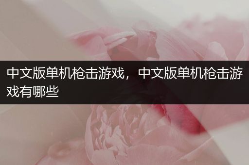 中文版单机枪击游戏，中文版单机枪击游戏有哪些