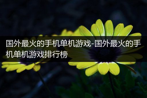 国外最火的手机单机游戏-国外最火的手机单机游戏排行榜