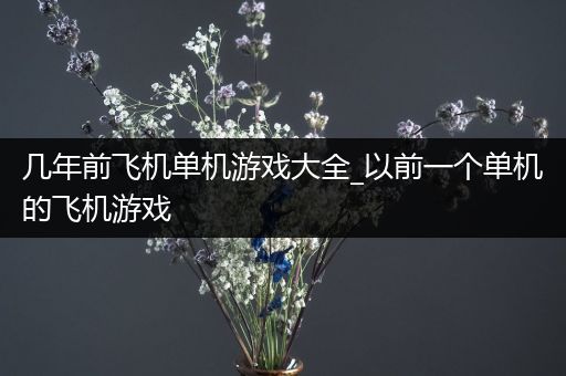 几年前飞机单机游戏大全_以前一个单机的飞机游戏