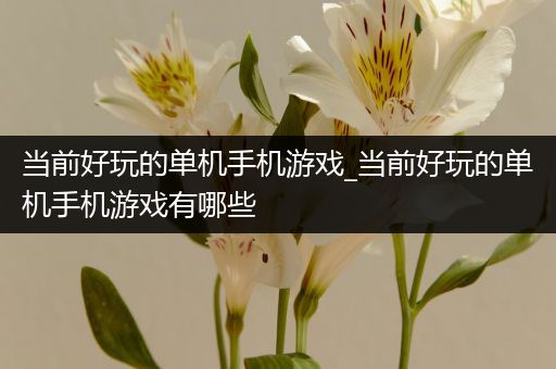 当前好玩的单机手机游戏_当前好玩的单机手机游戏有哪些