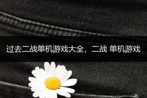 过去二战单机游戏大全，二战 单机游戏