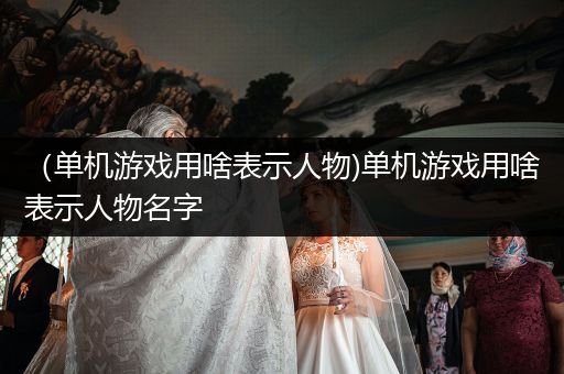 （单机游戏用啥表示人物)单机游戏用啥表示人物名字