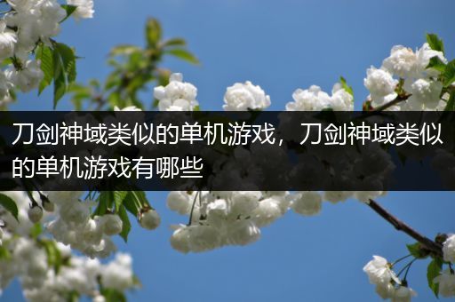 刀剑神域类似的单机游戏，刀剑神域类似的单机游戏有哪些
