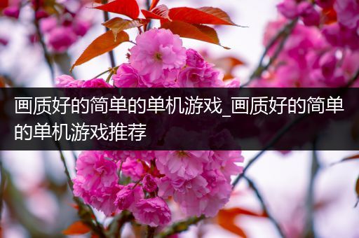画质好的简单的单机游戏_画质好的简单的单机游戏推荐