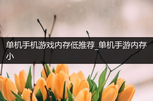 单机手机游戏内存低推荐_单机手游内存小