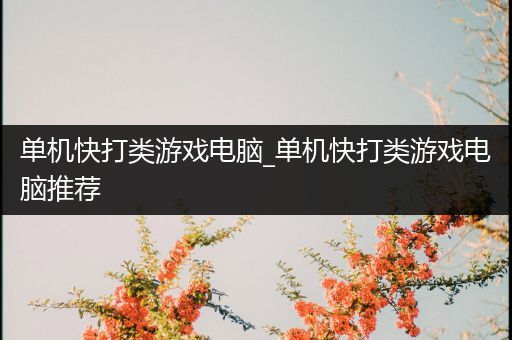 单机快打类游戏电脑_单机快打类游戏电脑推荐