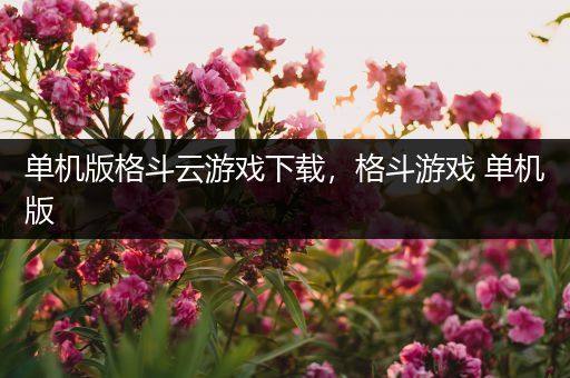 单机版格斗云游戏下载，格斗游戏 单机版