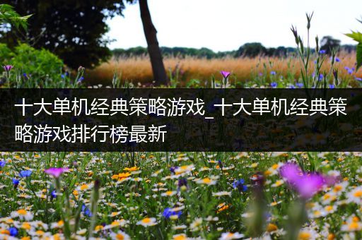 十大单机经典策略游戏_十大单机经典策略游戏排行榜最新