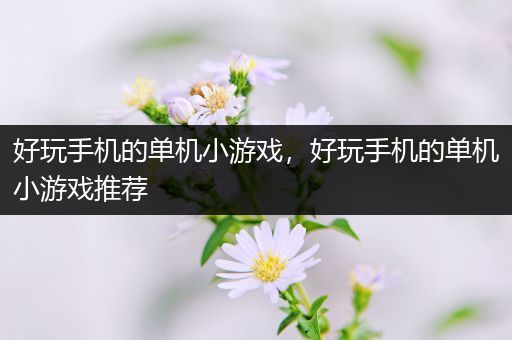 好玩手机的单机小游戏，好玩手机的单机小游戏推荐