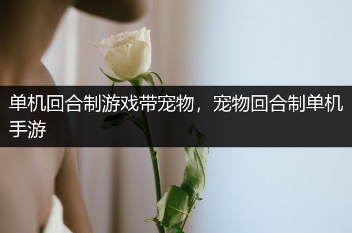 单机回合制游戏带宠物，宠物回合制单机手游