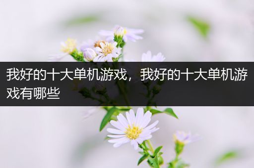 我好的十大单机游戏，我好的十大单机游戏有哪些