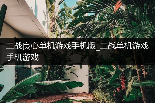 二战良心单机游戏手机版_二战单机游戏手机游戏