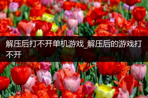 解压后打不开单机游戏_解压后的游戏打不开